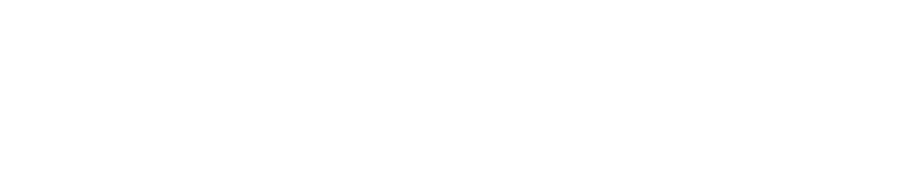 Pizza Artesanal como Negocio