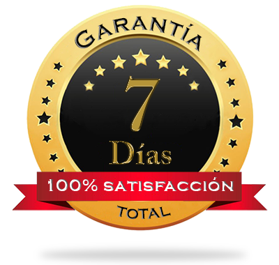 Pizza Artesanal como Negocio